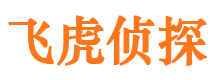 湘东侦探公司